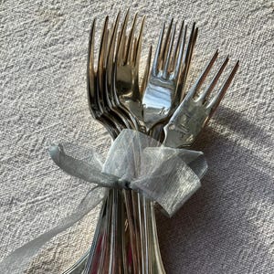 Può includere: Un fascio di forchette d'argento legato con un nastro argentato trasparente. Le forchette presentano un design classico con rebbi e manici decorativi. La disposizione suggerisce un set di posate, perfetto per un'occasione formale.