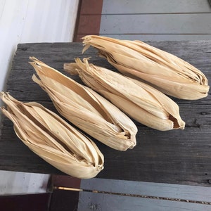 4 Bundles 0f Giant Dried Corn Husks - Fall Crafts Wreaths Florals