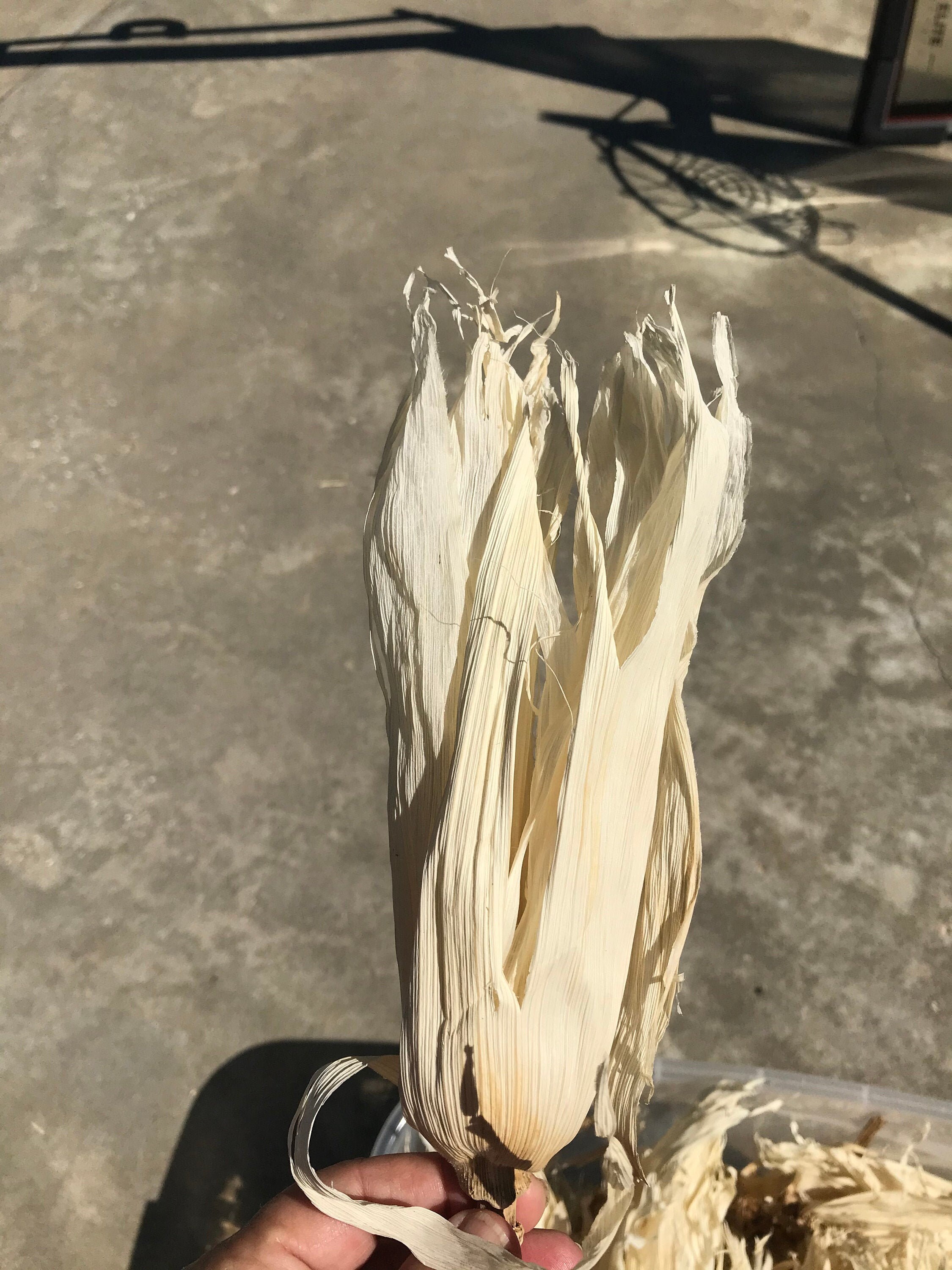 Dried Corn Husks for sale Only 2 left at 75