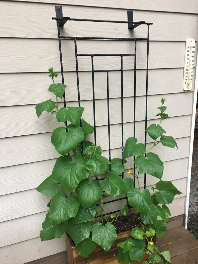 Wall Garden Trellis 3/8 Rebar 48 Tall by 24 Wide | Etsy