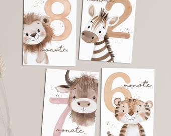 Meilensteinkarten Baby, 12 Monatskarten + 3 Wochenkarten, Safari Tiere, Mein erstes Jahr, Meilenstein Karten, A6 Format