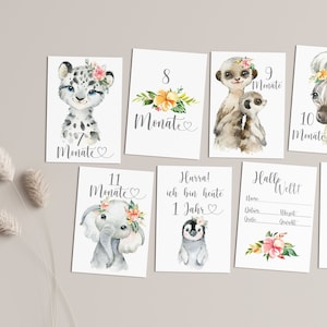 Baby Meilensteinkarten Mädchen , 12 Monatskarten, Mein erstes Jahr - Tiere Boho-, Meilenstein Karten, Schwangerschaft.