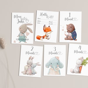 Meilensteinkarten Baby, 12 Monatskarten, Mein erstes Jahr - Tiere Aquarell -, Meilenstein Karten, Schwangerschaft