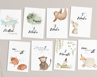 May include: A set of eight illustrated cards with watercolor animals and text. The cards feature a mouse in a plane, ants, a sloth, a rabbit, ladybugs, a monkey, a turtle, and a sheep. The text on the cards includes "Endlich zu Hause", "1. Woche", "2. Woche", "3. Woche", "ein Monat alt", "Wir sind 3 Monate alt", "2 Monate", and "vier Monate alt".