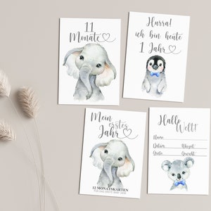 Baby Meilensteinkarten Junge , 12 Monatskarten, Mein erstes Jahr - Tiere Boho-, Meilenstein Karten, Schwangerschaft