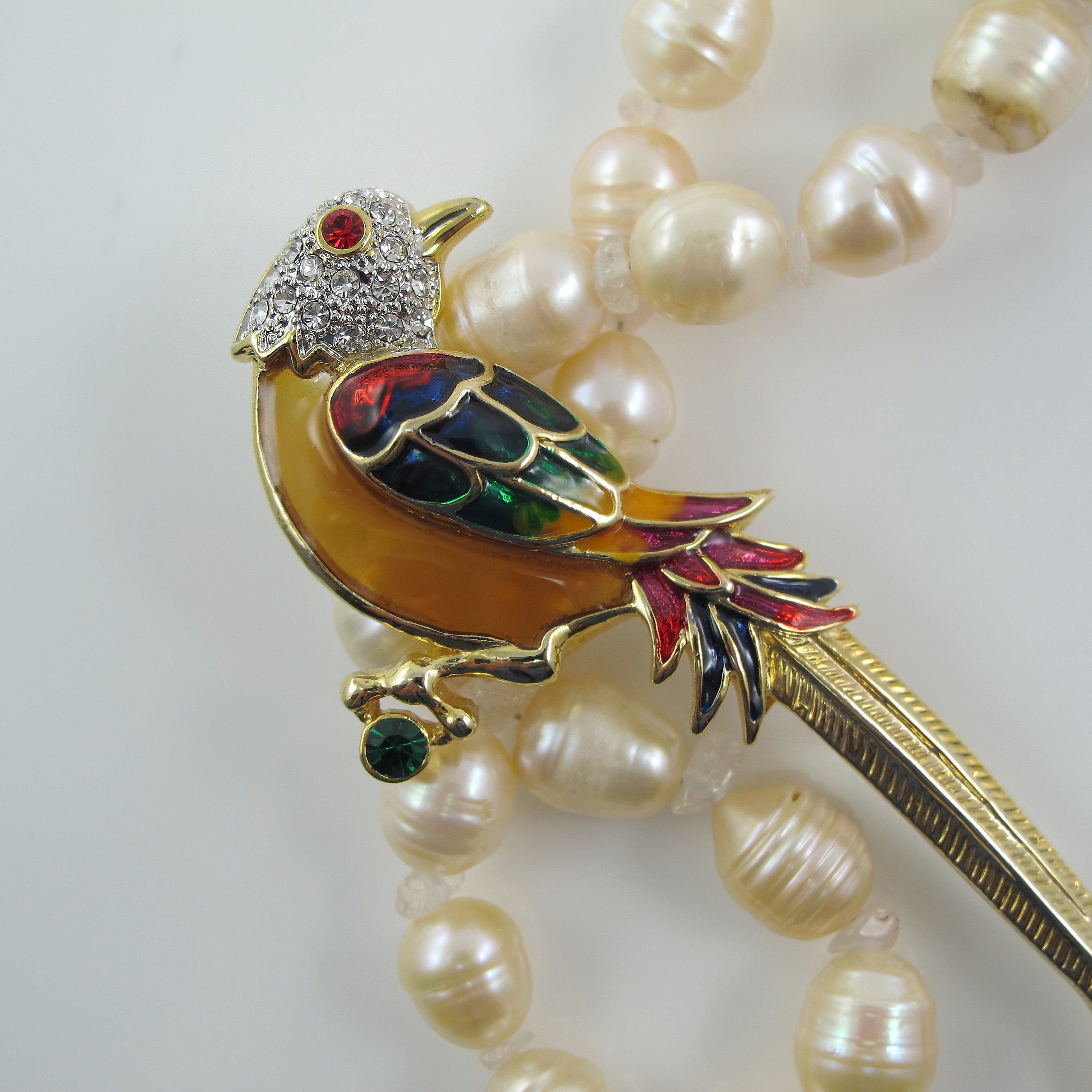 Pájaro paraíso con y vientre translúcido - Etsy