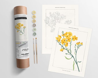 Greenstem Paperflower Botanical | Modern Paint By Number Kit