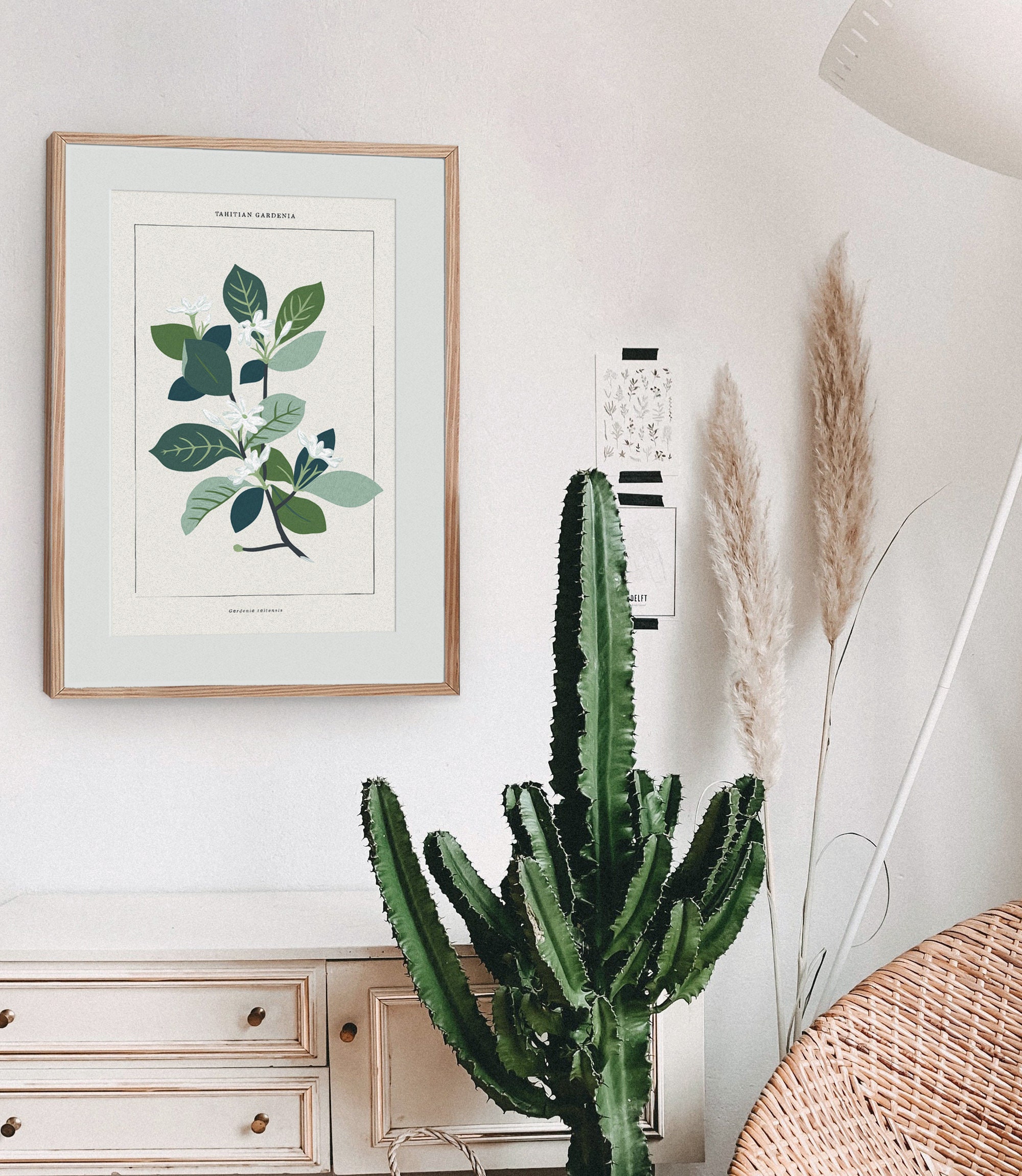Tahitian Gardenia Botanical - Etsy