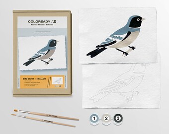 Bird Study: Swallow  |  Modern Paint By Numbers Kit