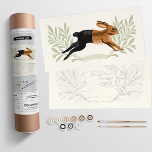 Running Hare  |  Modern Paint By Numbers Kit