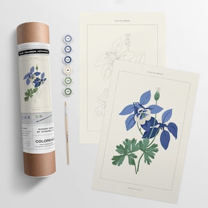 Blue Columbine Botanical  |  Paint By Numbers Kit