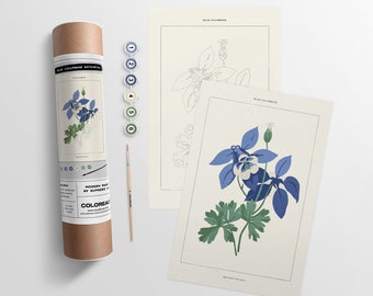 Blue Columbine Botanical  |  Paint By Numbers Kit