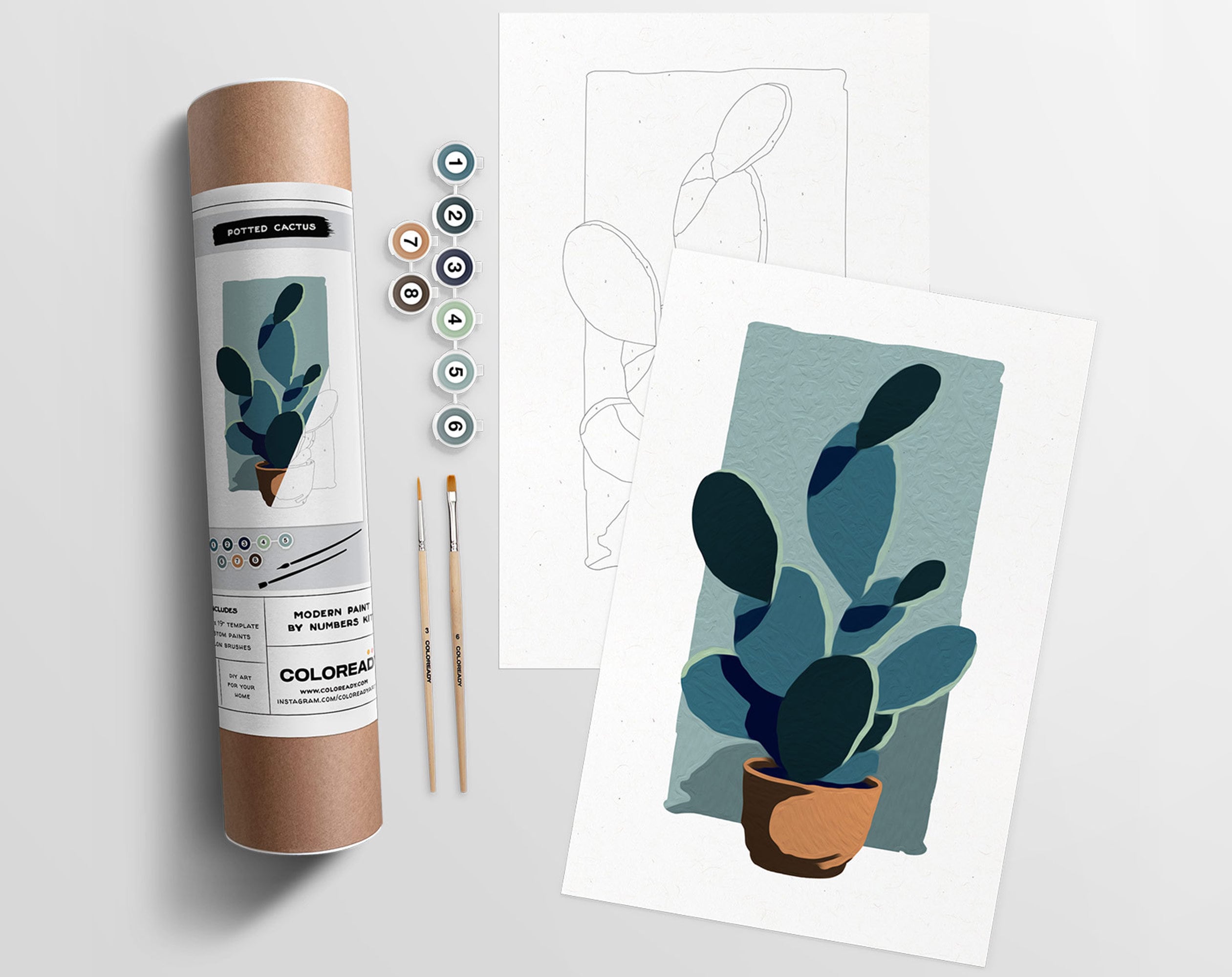 Potted Cactus Modern Paint by Numbers Kit 