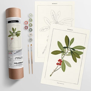 Mezereon Botanical Kit  |  Modern Paint By Numbers