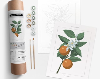 Orange Blossom Botanical | Paint By Number Art Kit