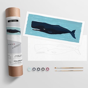 Giant Whale | Modern Paint By Numbers Kit