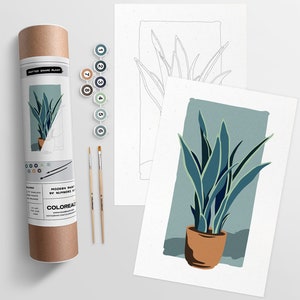 Potted Snake | Modern Paint By Numbers Kit