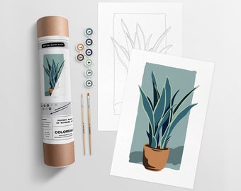 Potted Snake | Modern Paint By Numbers Kit