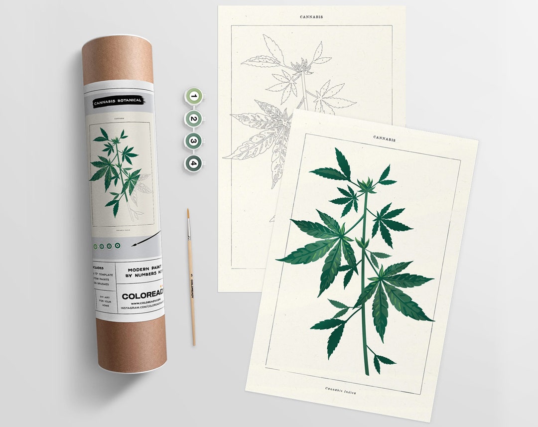 Cannabis Botanical Modern Paint by Numbers Kit Etsy