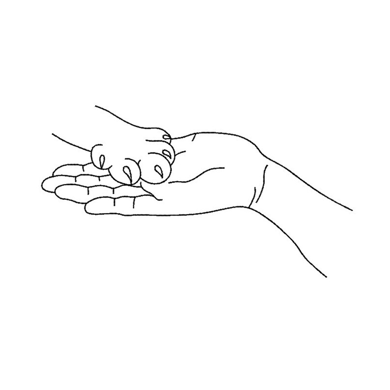 Cat Paw and Human Hand Machine Embroidery Designembroidery Etsy