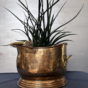 May include: A hammered brass bucket with a wide, rounded base and a tiered rim. The vessel features a large, hinged, curved handle attached with decorative metal plates and a smaller, fixed handle on the opposite side, containing a green plant.