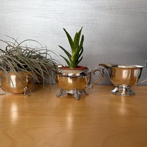 May include: Three silver-plated planters with different plants. The planter on the left has a small air plant, the middle planter has a succulent, and the planter on the right is empty.