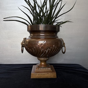 May include: A metallic bronze-toned urn planter featuring a wide rim, a rounded body with vertical fluted detailing, and two side handles shaped like lion heads with rings. The urn rests on a square pedestal base and contains a spiky green plant.