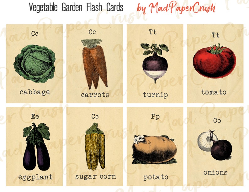 May include: A set of eight illustrated flash cards featuring different vegetables. Each card has a letter and a name for the vegetable, such as "Cc cabbage", "Tt turnip", and "Ee eggplant".