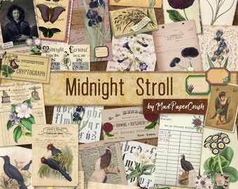 May include: A collage of vintage images featuring flowers, birds, and text. The title "Midnight Stroll by Mad Paper Crush" is prominently displayed. The images are in shades of purple, blue, green, and brown.