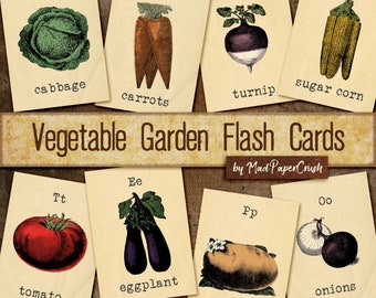 Gemüsegarten-Lernkarten | Vintage Gemüsegarten | Karteikarten im Vintage-Stil
