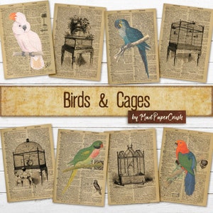 May include: A set of eight vintage illustrations featuring birds and cages. The illustrations are printed on aged dictionary pages with a rustic brown background. The images include a cockatoo, a blue macaw, a parrot, and various birdcages.