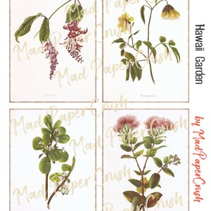 Hawaii Flower Themed Journal Cards | Junk Journal Notecards/Ephemera image 2