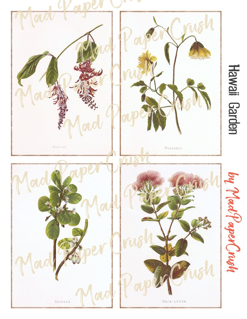 Hawaii Flower Themed Journal Cards | Junk Journal Notecards/Ephemera image 2
