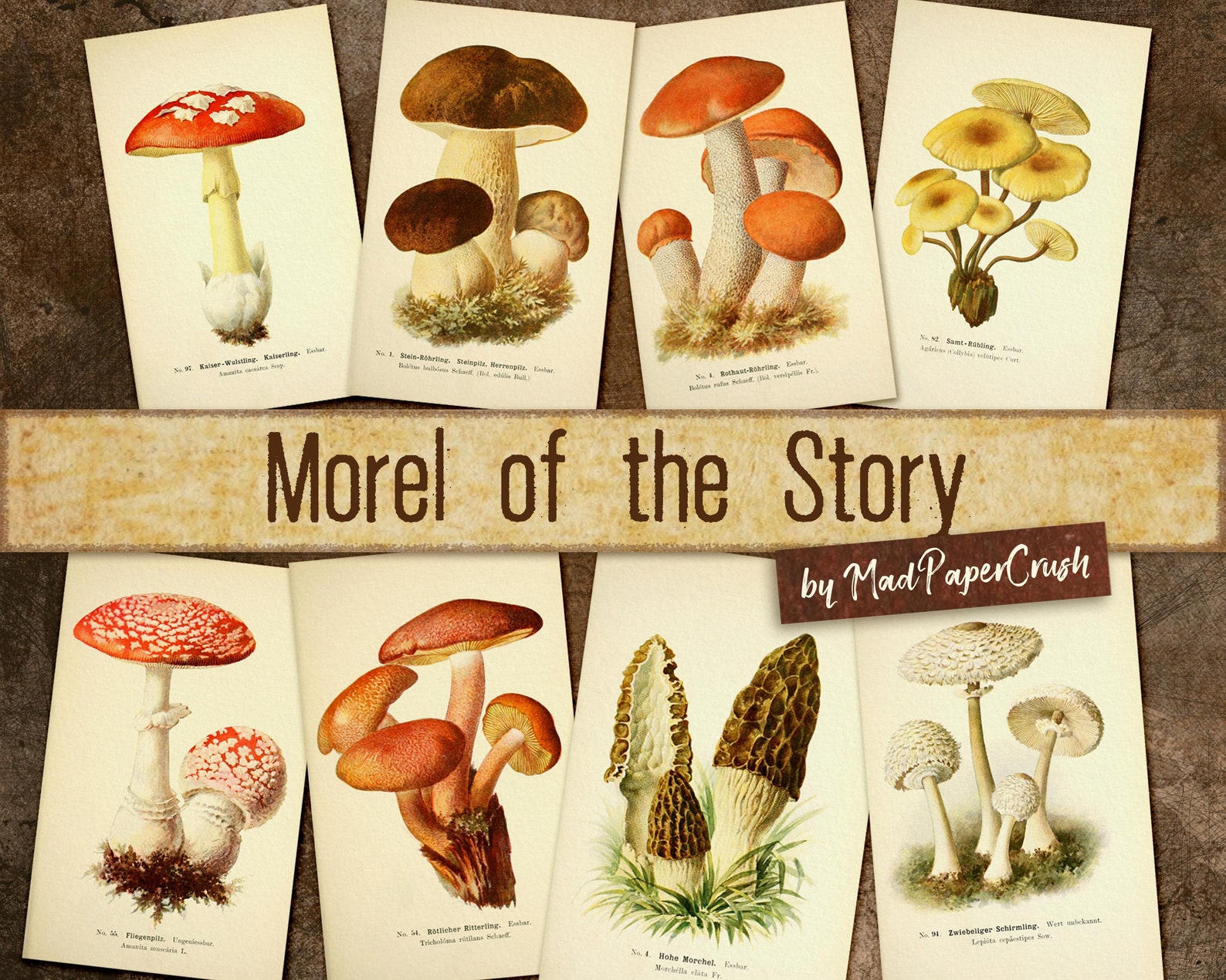 Morel of the Story Digital Mushroom Ephemera Etsy