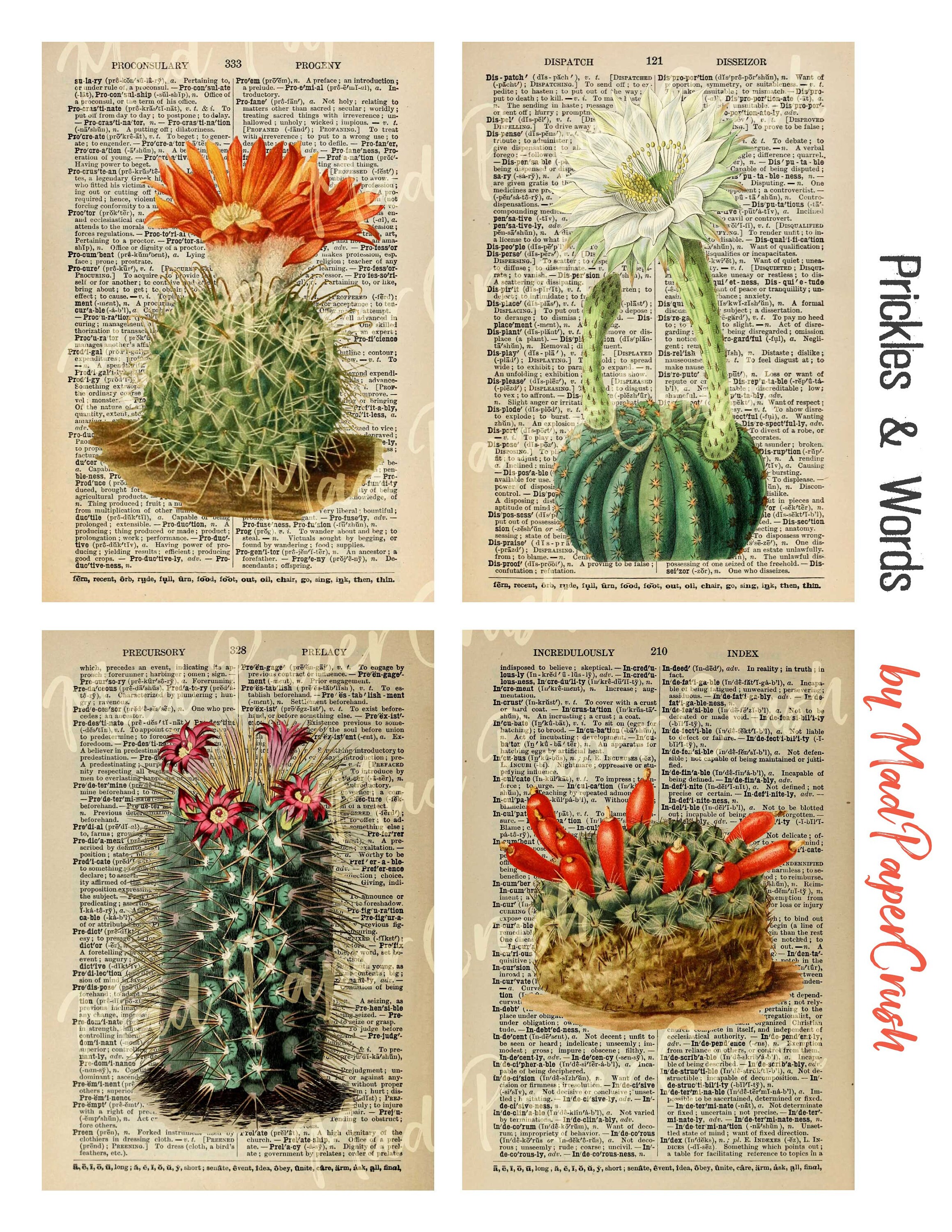 Dictionary Pages With Cacti Vintage Cactus Illustrations Etsy