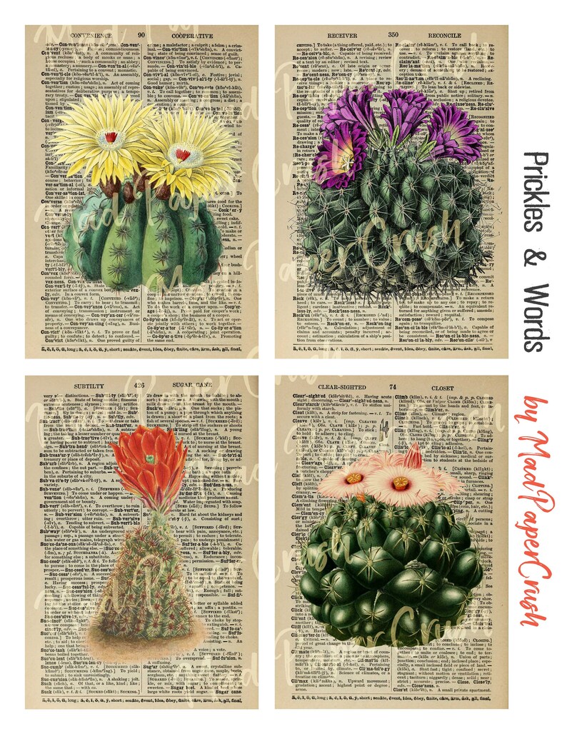 Dictionary Pages With Cacti Vintage Cactus Illustrations Etsy