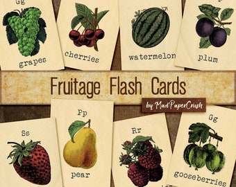 Vintage Fruit Flash Cards | Printable Illustrations (Digital Download)