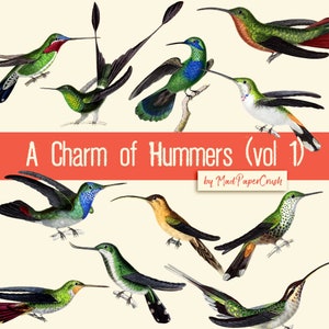 May include: A digital illustration of a charm of hummingbirds, a collection of 10 different species of hummingbirds with vibrant colors and intricate details. The image is titled "A Charm of Hummers (vol 1) by Mad Paper Crush".