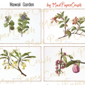 Hawaii Flower Themed Journal Cards | Junk Journal Notecards/Ephemera image 4