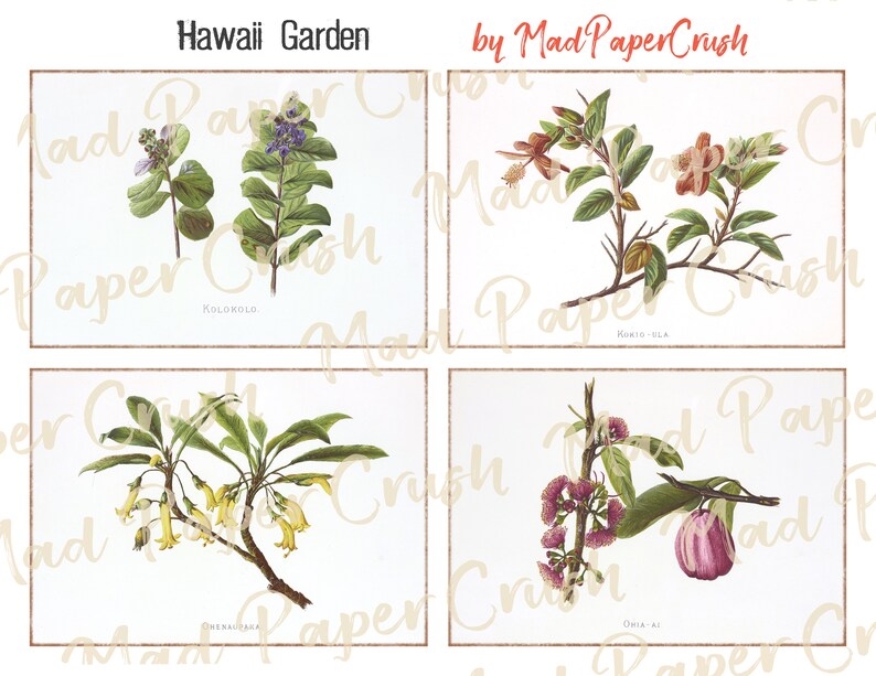 Hawaii Flower Themed Journal Cards | Junk Journal Notecards/Ephemera image 4