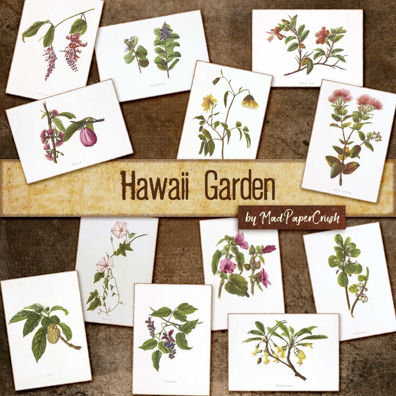 Hawaii Flower Themed Journal Cards | Junk Journal Notecards/Ephemera image 1
