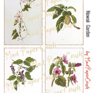 Hawaii Flower Themed Journal Cards | Junk Journal Notecards/Ephemera image 3