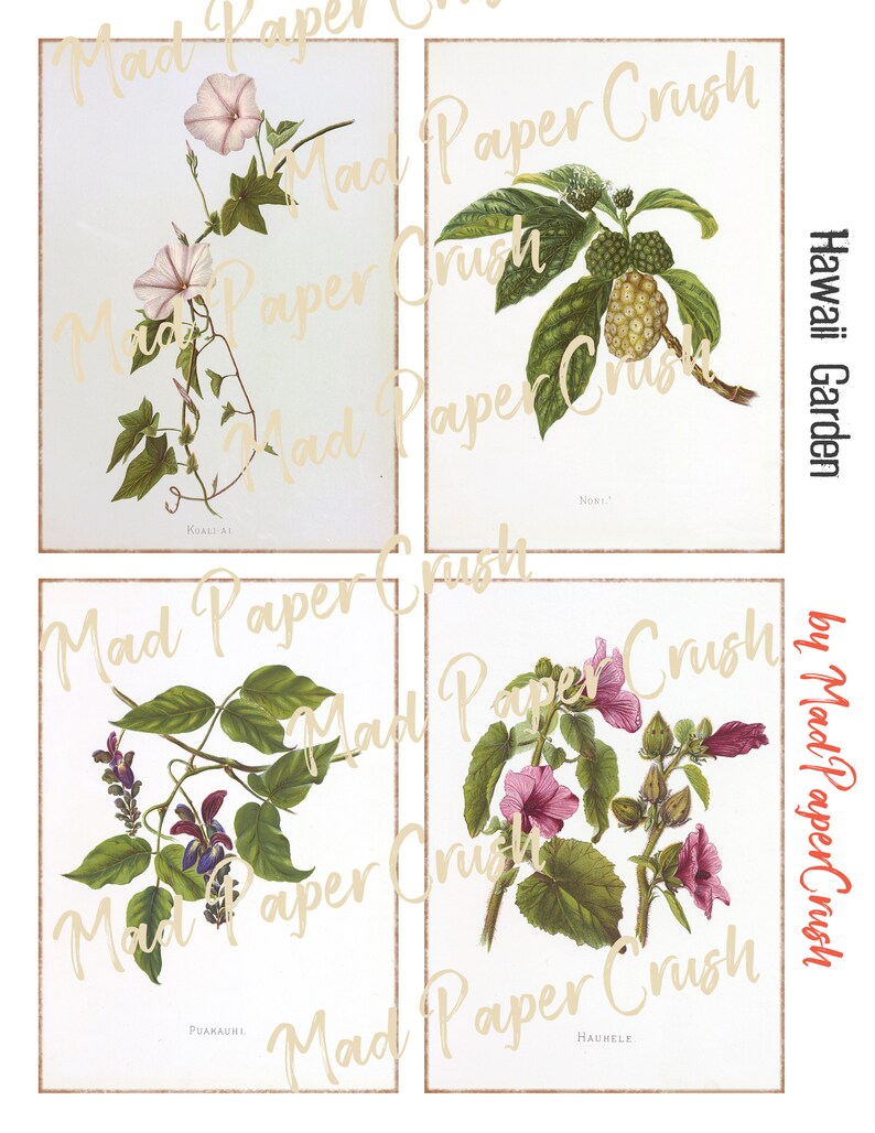 Hawaii Flower Themed Journal Cards | Junk Journal Notecards/Ephemera image 3
