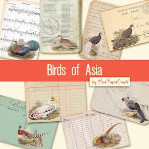 Birds of Asia - Journal Cards