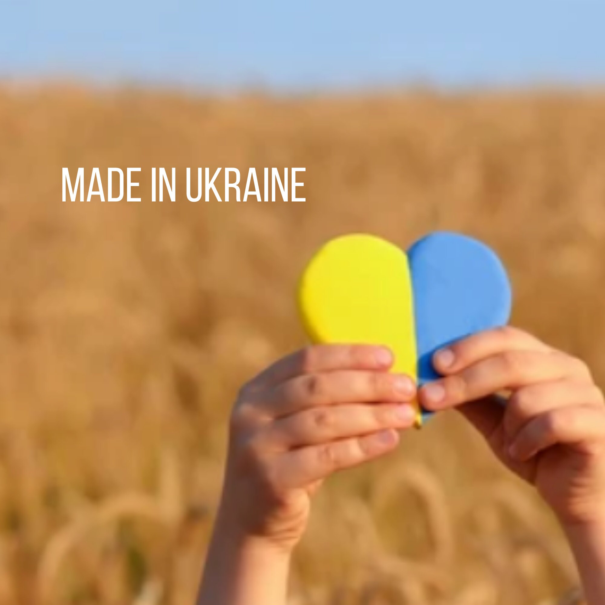 Pole Dance Shorts Black With Mesh Translucent Sexy Shorts Etsy