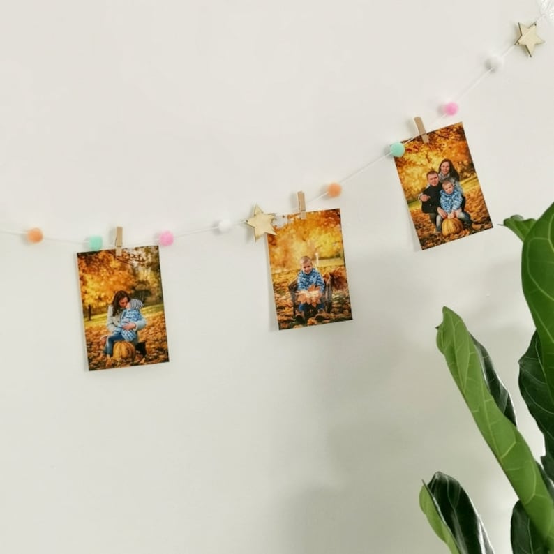picture holder photo picture clips Garland with clothespins and pom pom