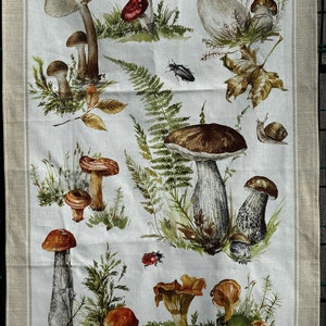 NEU!   Pilze Russula 100% Küchengeschirrtuch 50x76cm