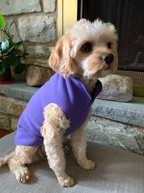 purple dog jacket