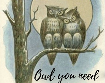 TS842 Women’s White Tee /"Owl you need is love/" Abstract Funny Owl Love Print