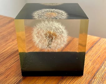 lucite dandelion minimalist cube paperweight / Pierre Giraurdon / circa 1970s / from Gumps
